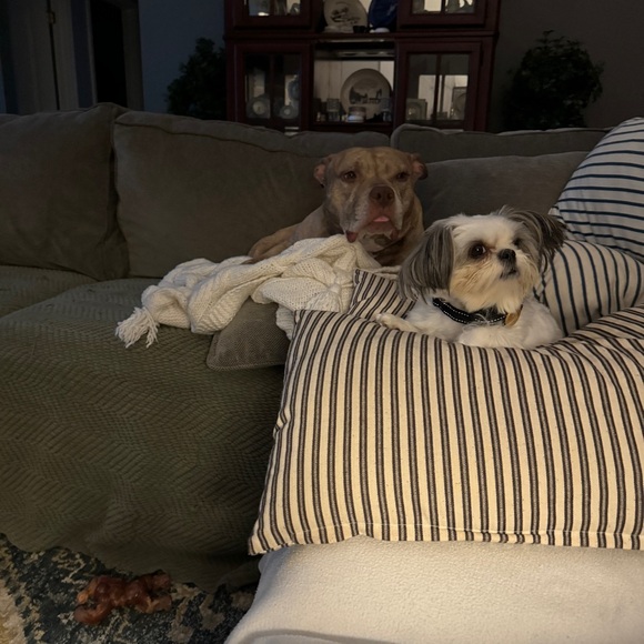 Meet your Posher, Meredith - Picture 6 of 6